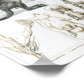 Marsupialia, Monetremata, Edentata ポスター (角)