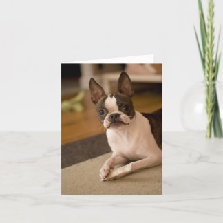 martha_bone カード