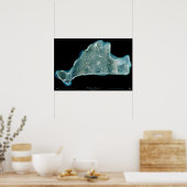 Marthas Vineyard Massachusetts衛星ポスター ポスター (キッチン)