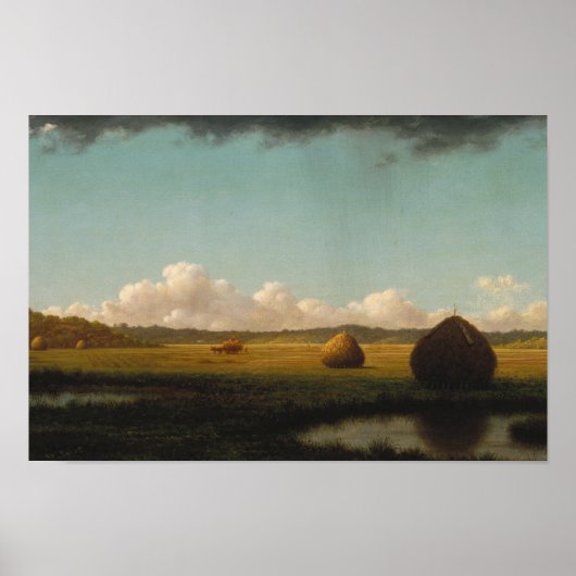 Martin Johnson Hade – 夏用シャワー ポスター (正面)