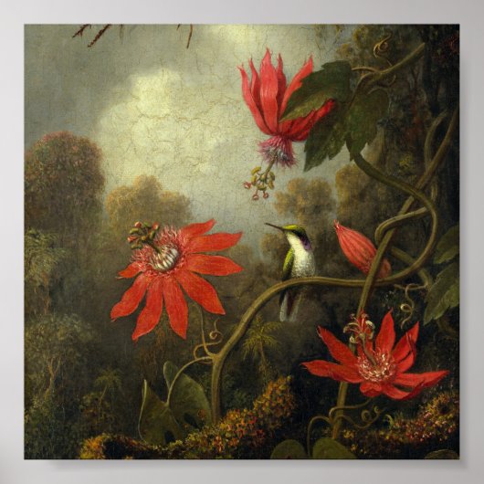 Martin Johnson Heade – ハミングバードと情熱 ポスター (正面)