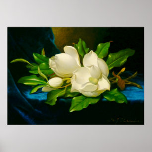 Martin Johnson Heade – マグノリアスオン金ゴールドVelvet ポスター