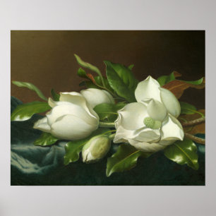 Martin Johnson Heade – ライトブルーのマグノリアス ポスター