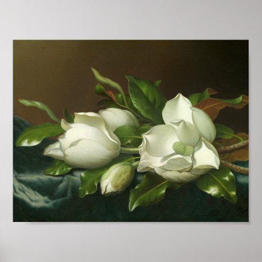 Martin Johnson Heade – ライトブルーのマグノリアス ポスター (正面)