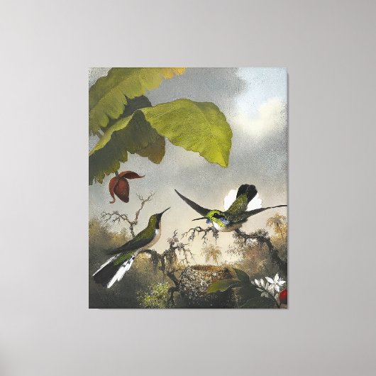 MARTIN JOHNSON HEADE – 黒耳の妖精 – 1863-64 キャンバスプリント (正面)