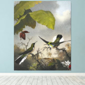 MARTIN JOHNSON HEADE – 黒耳の妖精 – 1863-64 キャンバスプリント (インサイチュ (ウッドフロア))