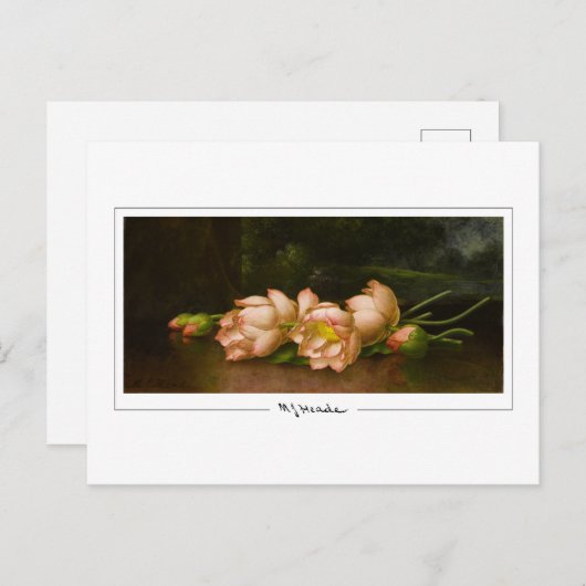 Martin Johnson Heade #34 -ファインアートポストカード ポストカード (正面/裏面)