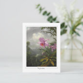 Martin Johnson Heade #4 -ファインアートポストカード ポストカード (スタンド正面)