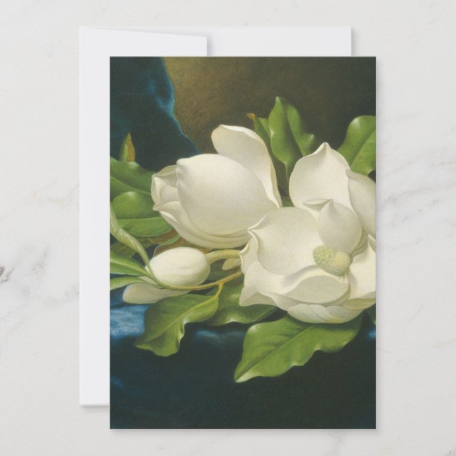 Martin Johnson Heade - Giant Magnolias (正面)