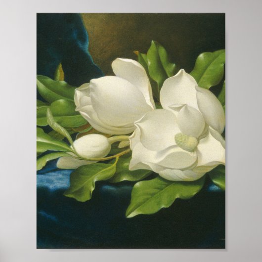 Martin Johnson Heade - Giant Magnolias ポスター (正面)