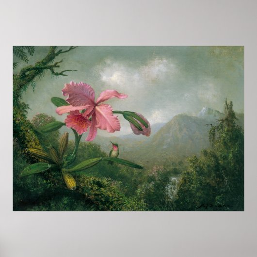 Martin Johnson Heade - Orchid with Two Hummingbird ポスター (正面)