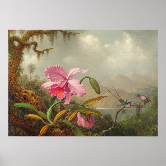 Martin Johnson Heade Pによる蘭とハミングバード ポスター (正面)