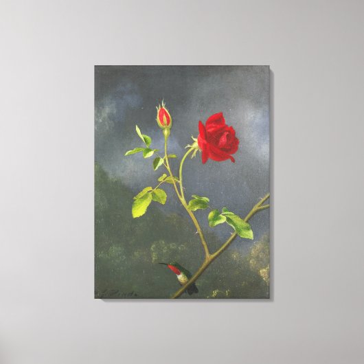 MARTIN JOHNSON HEADE - Red Rose with Ruby Throt - キャンバスプリント (正面)