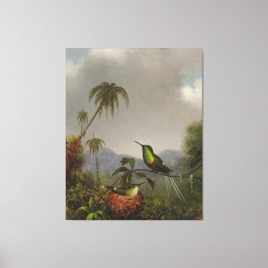 MARTIN JOHNSON HEADE - TWO THORN-TAIL - 1864-65 - キャンバスプリント (正面)