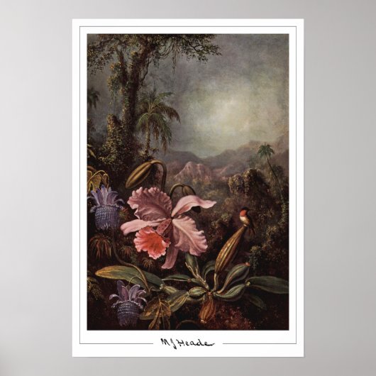 Martin Johnson Heade Zedign アートポスター #202 ポスター (正面)