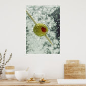 Martiniのポスタープリント ポスター (キッチン)