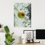 Martiniのポスタープリント ポスター (ホームオフィス)