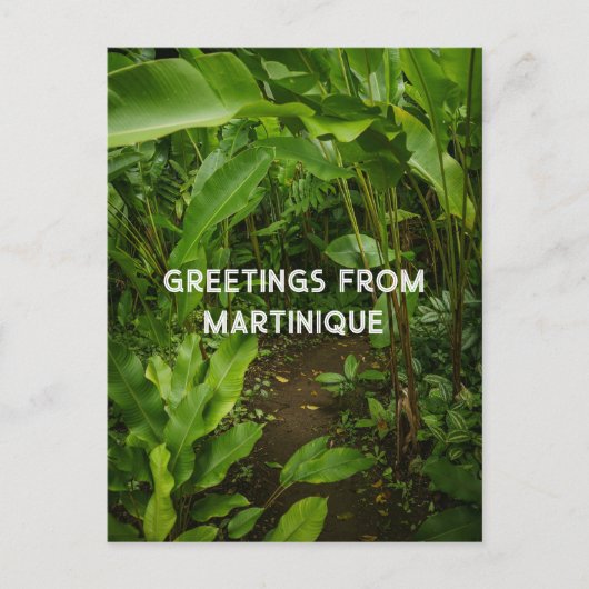 Martinique tropical garden,  travel ポストカード (正面)