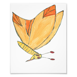 Marvin the Moth フォトプリント