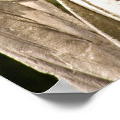 Mary Annie's Angel 16x20ポスター ポスター (角)