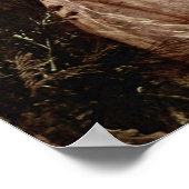 Mary Countess Howe by Thomas Gainsborough ポスター (角)