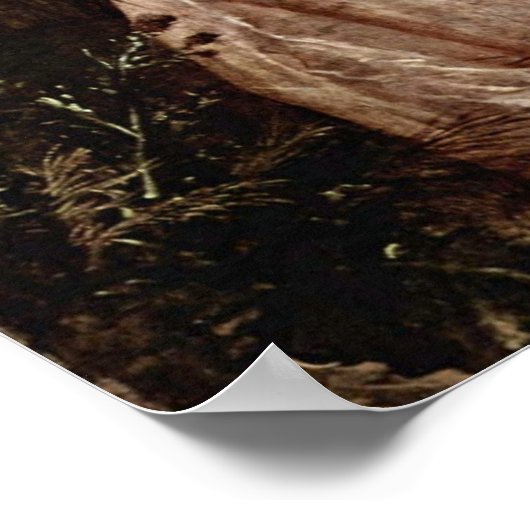 Mary Countess Howe by Thomas Gainsborough ポスター (角)