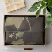 Mary DelanyによるRubus Odoratus 薄葉紙 (ギフト)