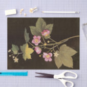 Mary DelanyによるRubus Odoratus 薄葉紙 (クラフト)