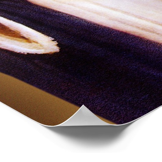 Mary Devontional Imageの完全なハート。 ポスター (角)