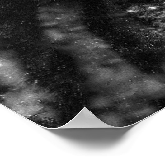 Mary Todd Lincoln ポスター (角)