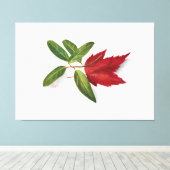 Mary Vaux Walcott painting キャンバスプリント (インサイチュ (ウッドフロア))