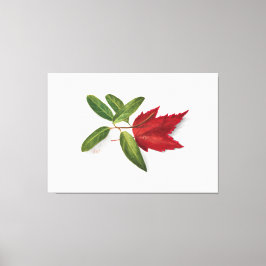 Mary Vaux Walcott painting キャンバスプリント