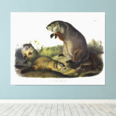 Maryland Marmot, Woodchuck, Groundhog by Audubon キャンバスプリント (インサイチュ (ウッドフロア))