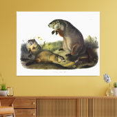 Maryland Marmot, Woodchuck, Groundhog by Audubon キャンバスプリント (インサイチュ (リビング))