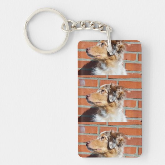 MASレッドメルル キーホルダー (正面)