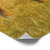 Masai Giraffes Kenya Africaのポスター ポスター (角)