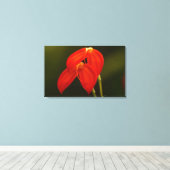 Masdevalliaのigneaの蘭の伸張のキャンバスのプリント キャンバスプリント (インサイチュ (ウッドフロア))