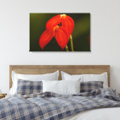 Masdevalliaのigneaの蘭の伸張のキャンバスのプリント キャンバスプリント (インサイチュ (寝室))