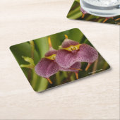 Masdevallia スクエアペーパーコースター (アングル)