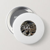 masked example 缶バッジ (正面&裏面)