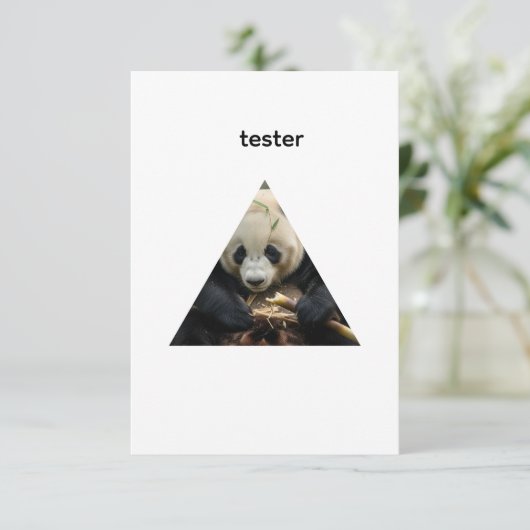 masked test 招待状 (スタンド正面)