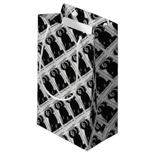 Mass スモールペーパーバッグ (正面アングル)