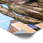 Massachusasoit, Plymouth, Massachusetts -プリント ポスター (角)