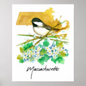 Massachusetts Bird Chickadee Willow Branches ポスター (正面)