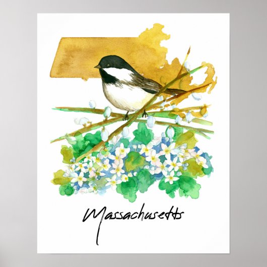Massachusetts Bird Chickadee Willow Branches ポスター (正面)