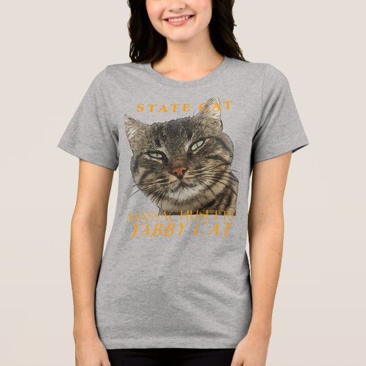 Massachusetts Territory Cat The 魅力的 Tabby Cat トライブレンドTシャツ (正面)