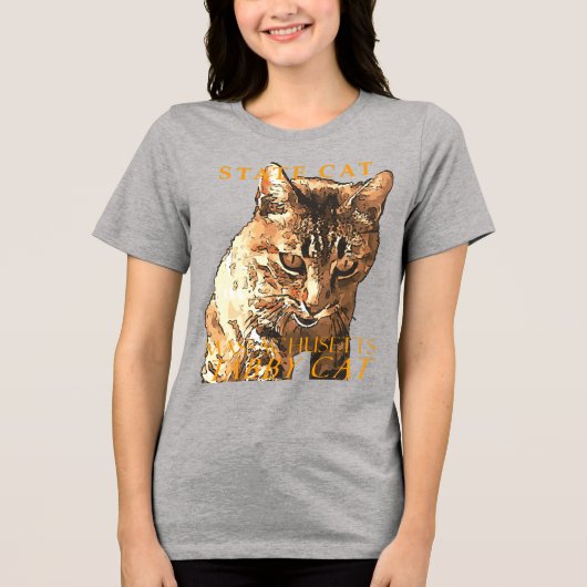 Massachusetts Territory Cat The Cute Tabby Cat トライブレンドＴシャツ (正面)