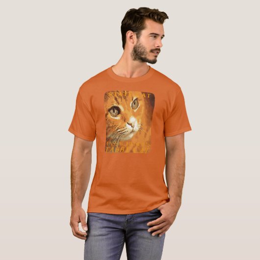 Massachusetts Territory Cat The Orange Tabby Cat Tシャツ (正面フル)