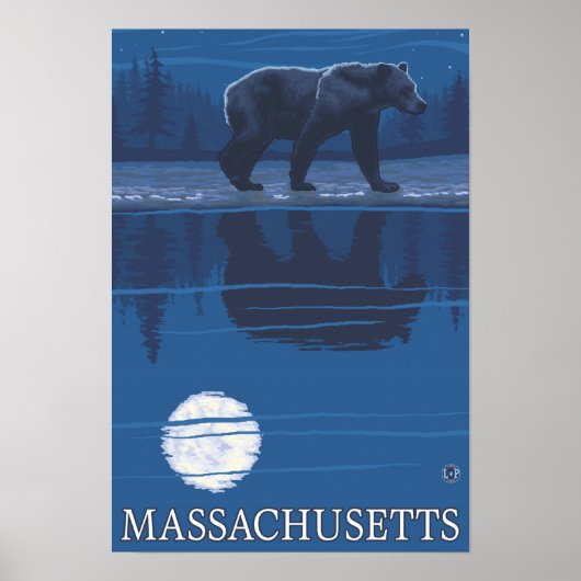 MassachusettsBear in the Moonlight ポスター (正面)