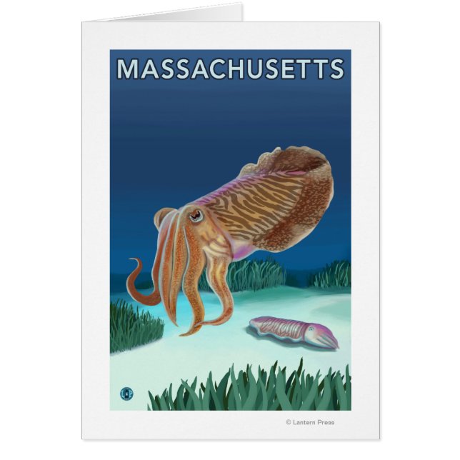 MassachusettsCutlefishのシーン (正面)